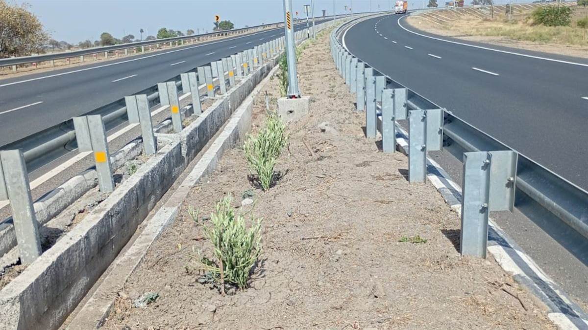हरियाली कटी, तपन बढ़ी... मालवा की ठंडी फिजा पर ‘विकास’ की गर्म मार ...