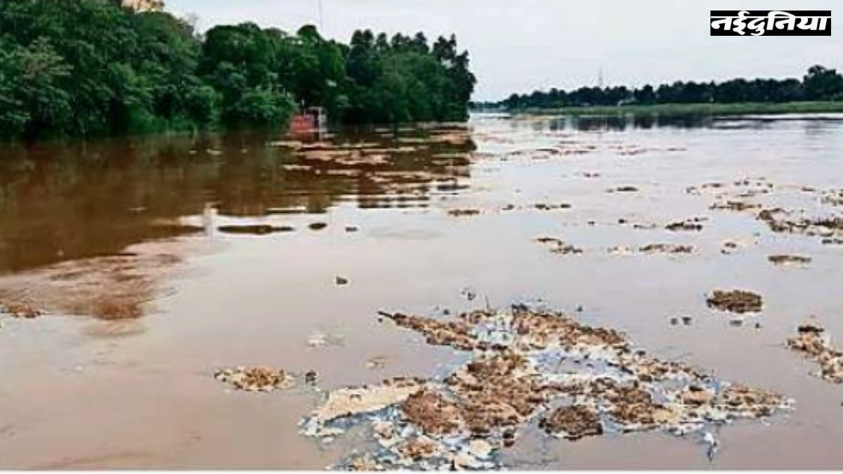 Jabalpur ka Mausam: संभाग में हो सकती है झमाझम बारिश, मौसम विभाग ने जारी की चेतावनी
