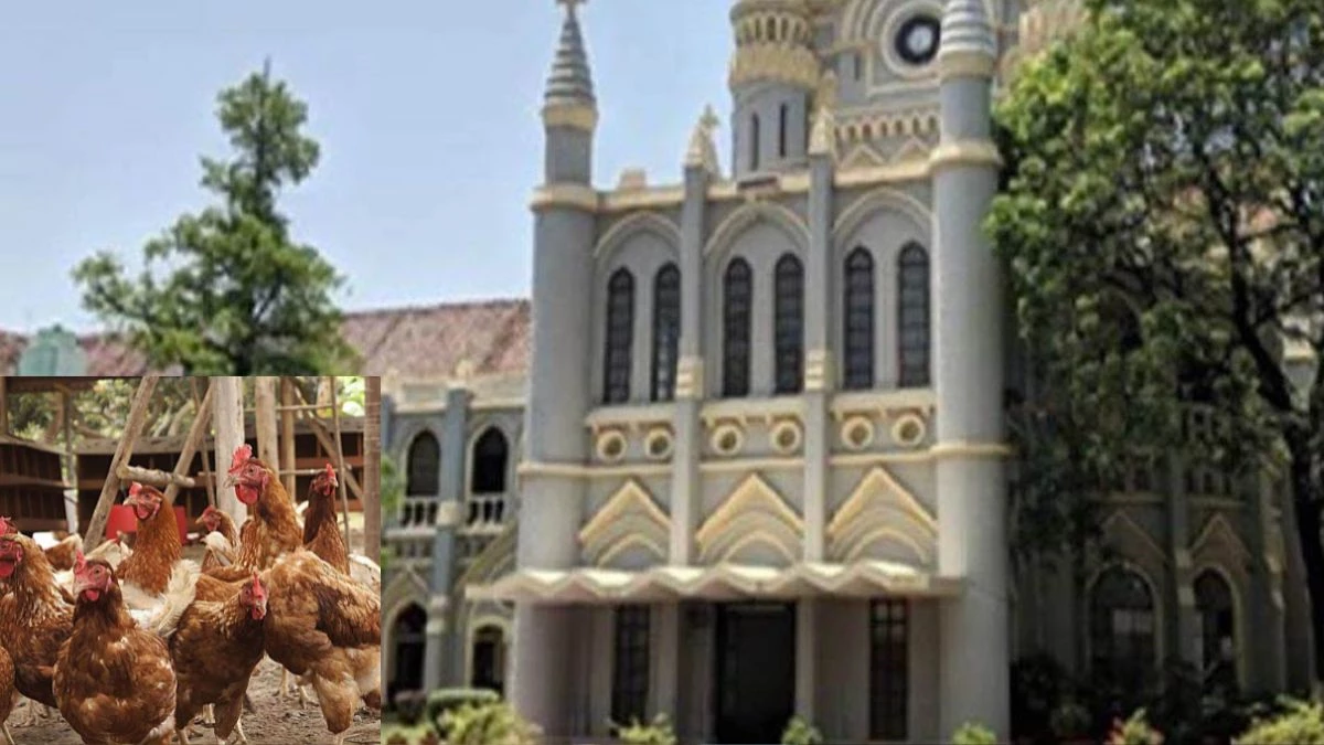 अवैध डेयरी-पोल्ट्री फार्म पर High Court हुई सख्त... जबलपुर कलेक्टर को भेजा अवमानना नोटिस