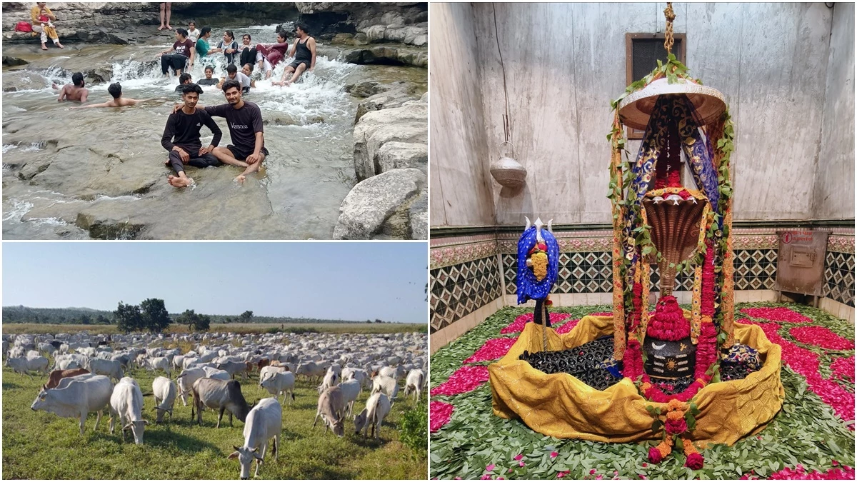 Tourist Places Near Indore: इंदौर से 150 किमी दूर है बाबा बैजनाथ मंदिर, सावन में धार्मिक पर्यटन के लिए सबसे उत्तम है ये स्थान