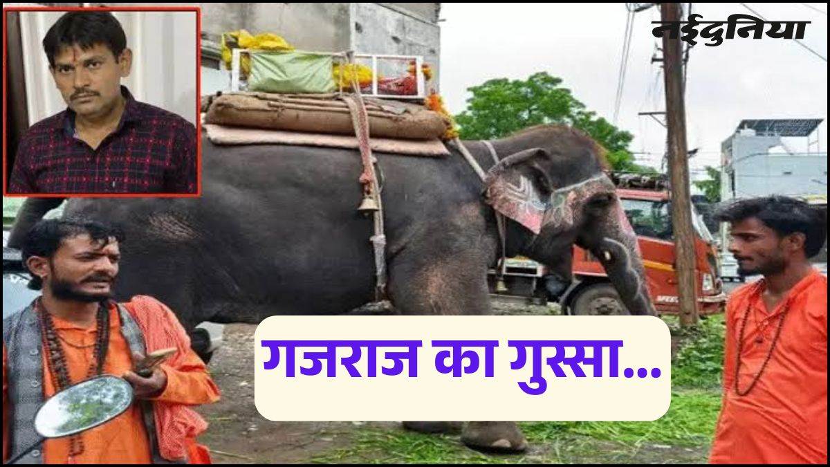 इंदौर में हाथी हुआ बेकाबू... सूंड में लपेटकर रिक्शा चालक को दी पटखनी, छाती पर पैर रखा, गुड़ खिलाते वक्त हुआ हादसा; हुई मौत