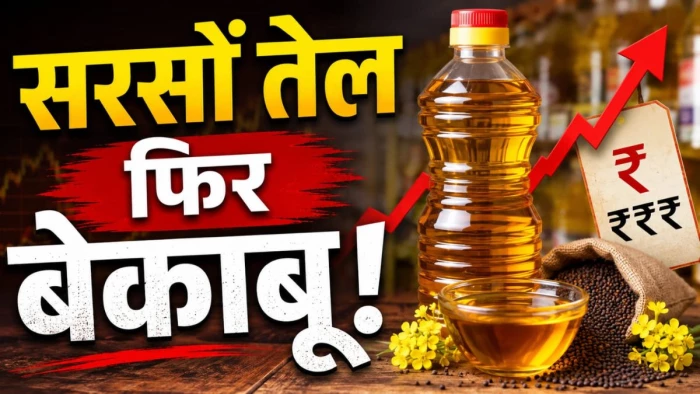 रसोई पर महंगाई की मार... 230 रुपये तक पहुंच सकता है सरसों का तेल, बजट बिगड़ने से आम जनता परेशान