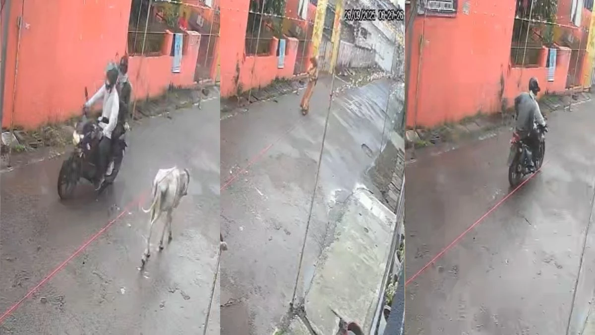 जबलपुर में भाजपा मंडल अध्यक्ष की मां से दिनदहाड़े हुई चेन लूट, बदमाश मौका देख हुए फरार