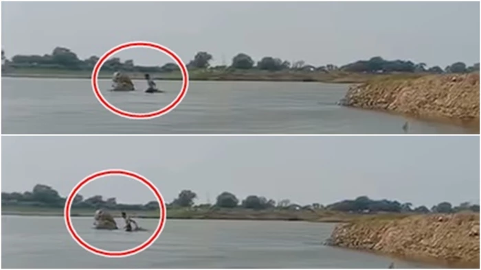 वीडियो बनाती रही दोस्त, तालाब में डूब गया उसका साथी; उज्जैन में गणेश विसर्जन के दौरान हादसा