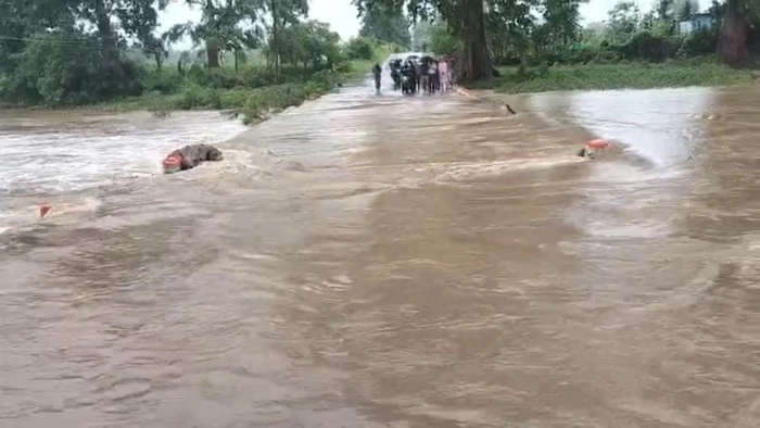 उमरिया में तेज बारिश से स्कूलों की छुट्टी, डीएफओ कार्यालय के पास गिरा बड़ा पेड़; कई इलाकों में भरा पानी