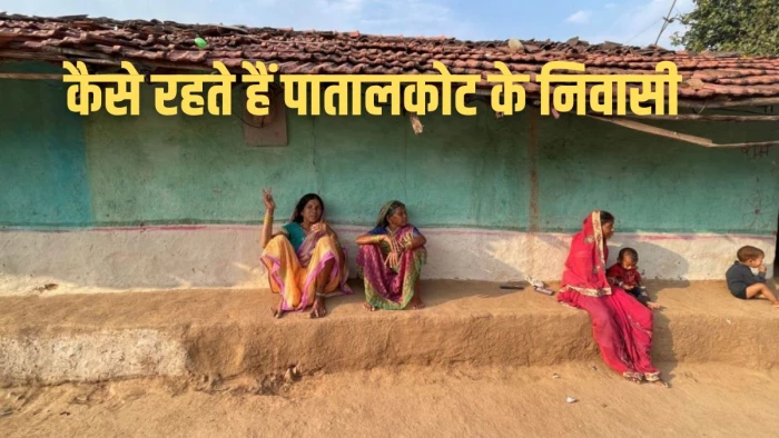 MP का सबसे अनोखी घाटी…जहां तक नहीं पहुंचती सूरज की रोशनी! मिलती हैं तो सिर्फ दुर्लभ जड़ी-बूटियां