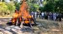 Jabalpur News : बाघ से फाइटिंग में मादा तेंदुए की मौत