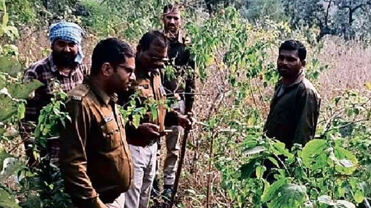 Raisen Crime News: बड़ा शातिर निकला रायसेन में मासूम से रेप का आरोपी सलमान, 8 दिन पहले बंद कर लिया था मोबाइल