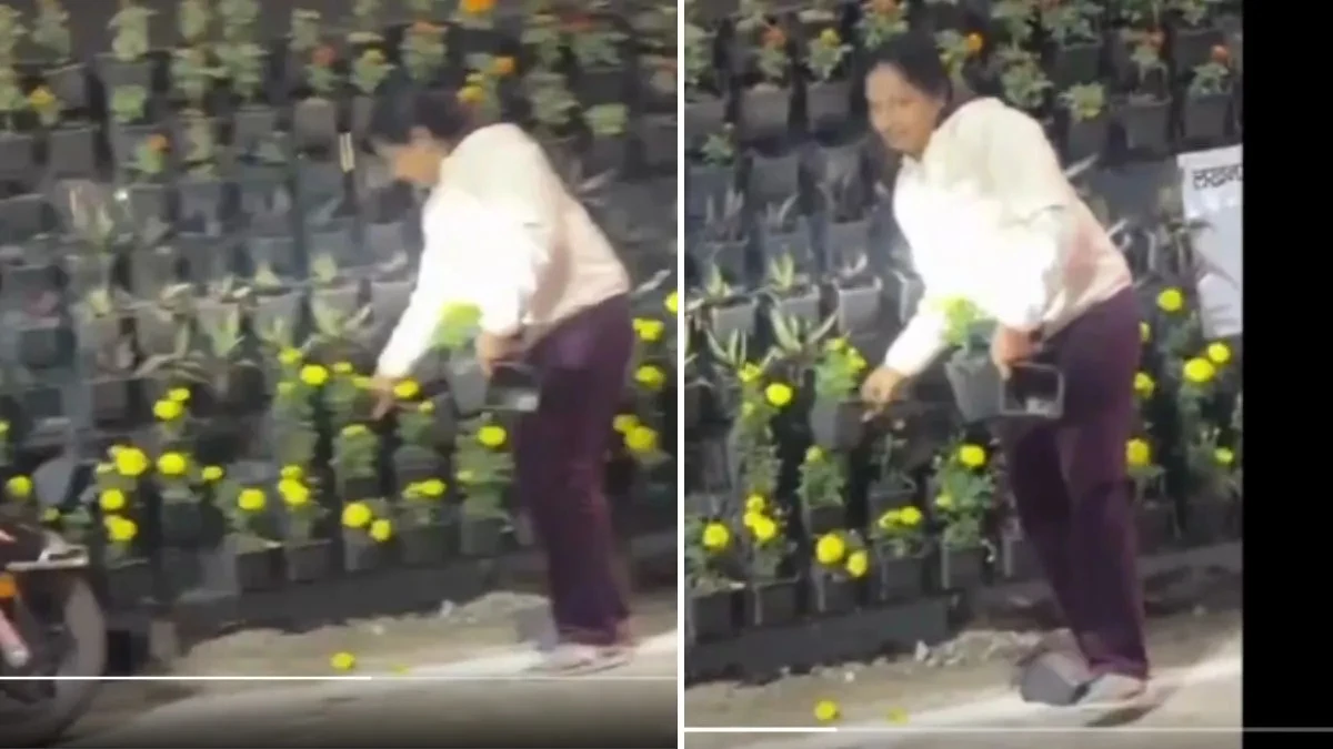 पीएम मोदी के राष्ट्र प्रेरणा स्थल का लोकार्पण करने के बाद लोग चुरा ले गए वहां रखे गमले, वीडियो वायरल