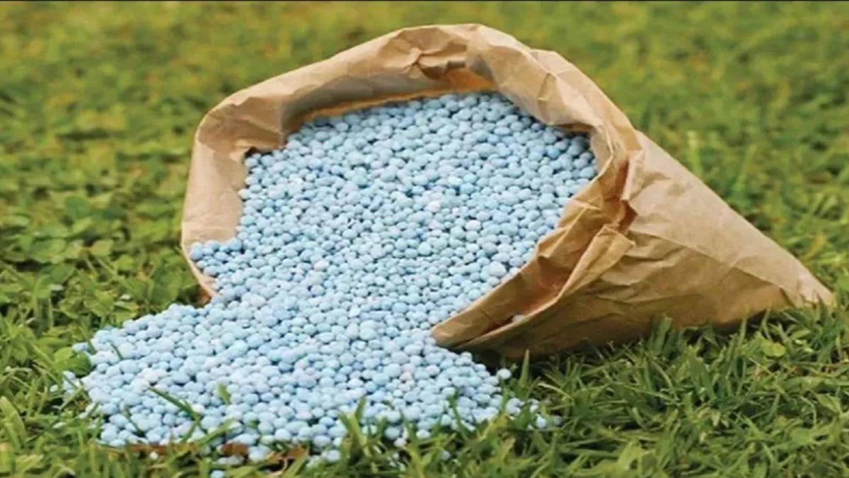 Jabalpur News: ई-टोकन से किसानों को घर बैठे मिली खाद, लंबी कतारों से मिली मुक्ति; जनवरी से प्रदेशभर में होगी लागू