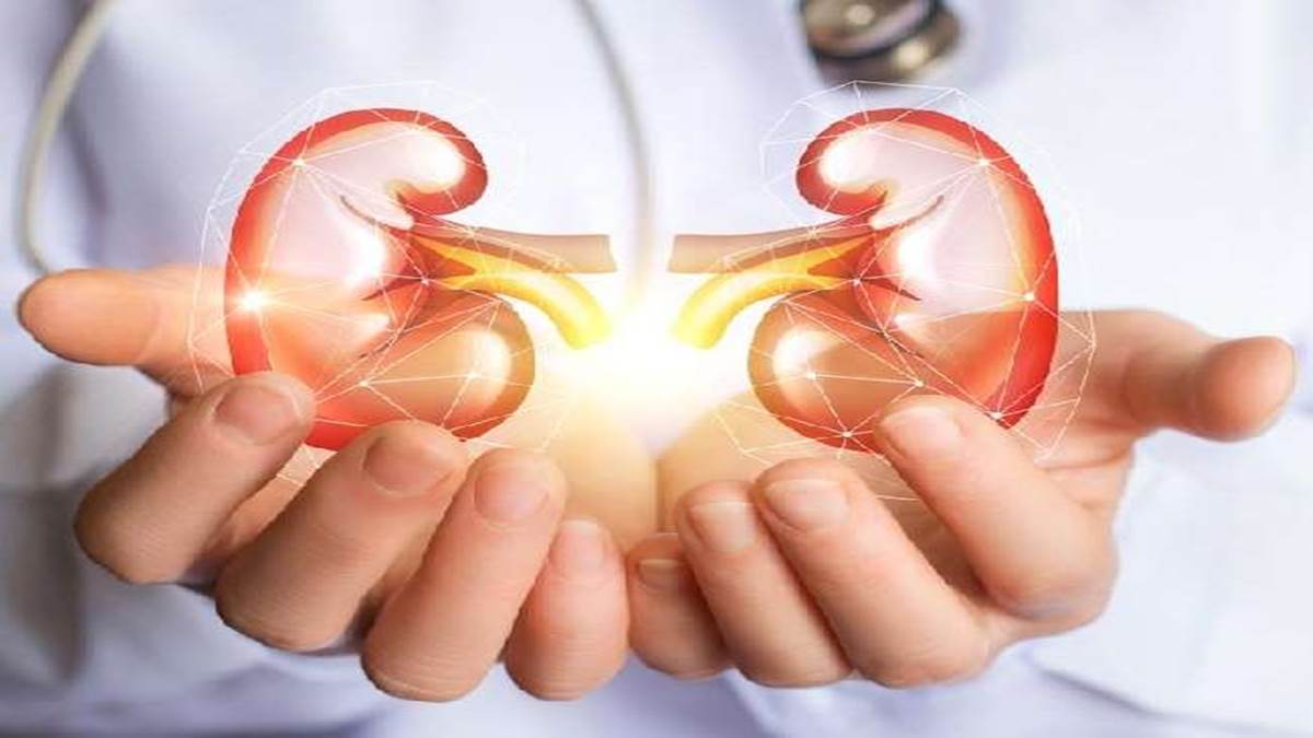 kidney protection : शरीर में सूजन आने का इंतजार न करें, समय-समय पर किडनी की जांच कराएं