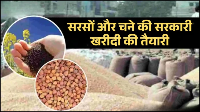 किसानों के लिए जरूरी खबर, सरसों और चना की सरकारी खरीदी के लिए पंजीयन शुरू, 20 मार्च तक कराएं रजिस्ट्रेशन