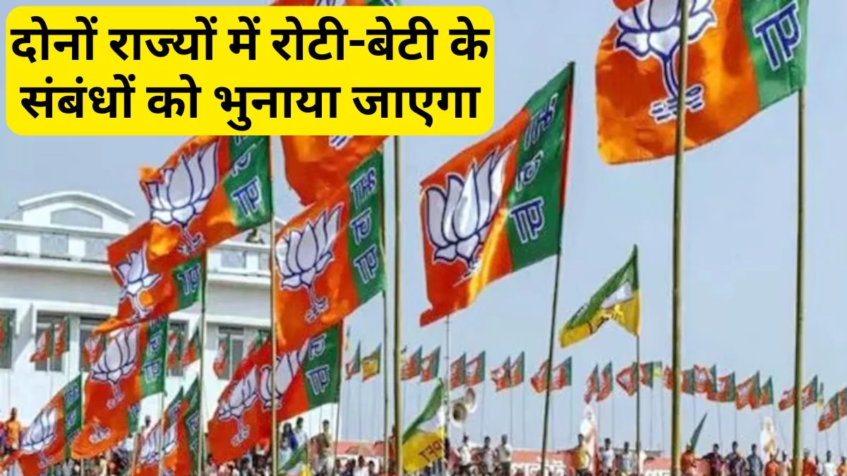 Bihar Vidhan Sabha Chunav 2025: बिहार भेजे जाएंगे मध्य प्रदेश के अनुभवी भाजपा नेता और कार्यकर्ता… विधानसभा चुनाव में दी गई है यह जिम्मेदारी