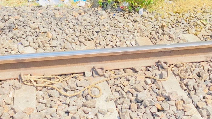 MP के हरदा में हैरान करने वाली वारदात, आश्रम से 5 गाय चोरी कर रेलवे ट्रैक पर बांधी; ट्रेन से कटकर पांचों की मौत