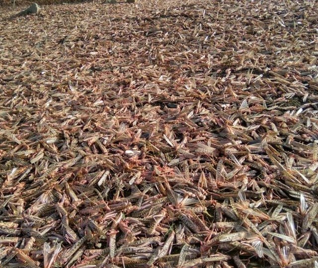 हवा के रुख से दिशा तय
