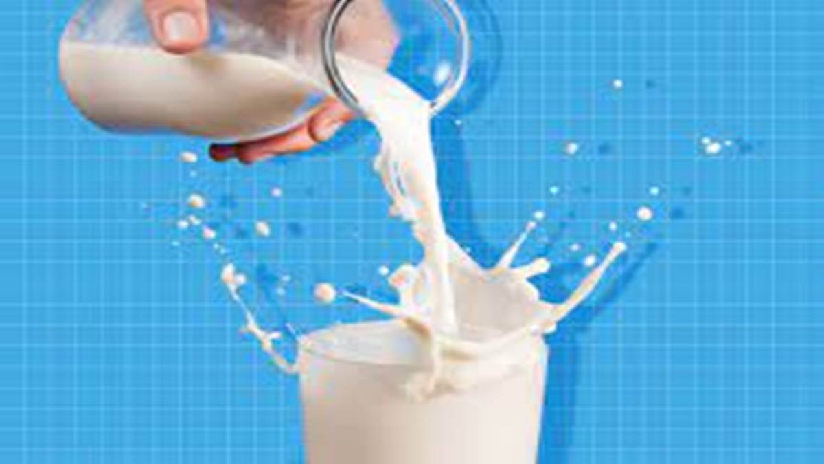 Gwalior Milk Production News:  कोविड के बाद अब तेजी से बढ़ रहा ग्वालियर-चंबल अंचल में दुग्ध उत्पादन