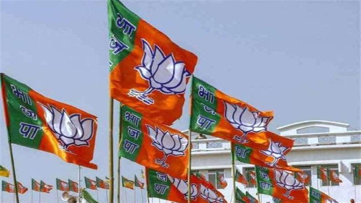 Chhattisgarh News: पीएम मोदी के 20 साल के संसदीय इतिहास पर संवाद करेगी भाजपा