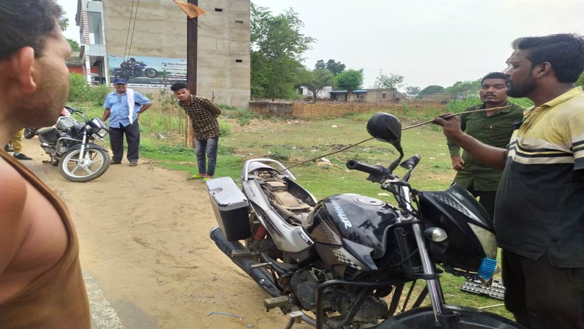 Ambikapur News : बाइक की सीट में घुसा सांप, घंटो बाद मुश्किल से निकाला