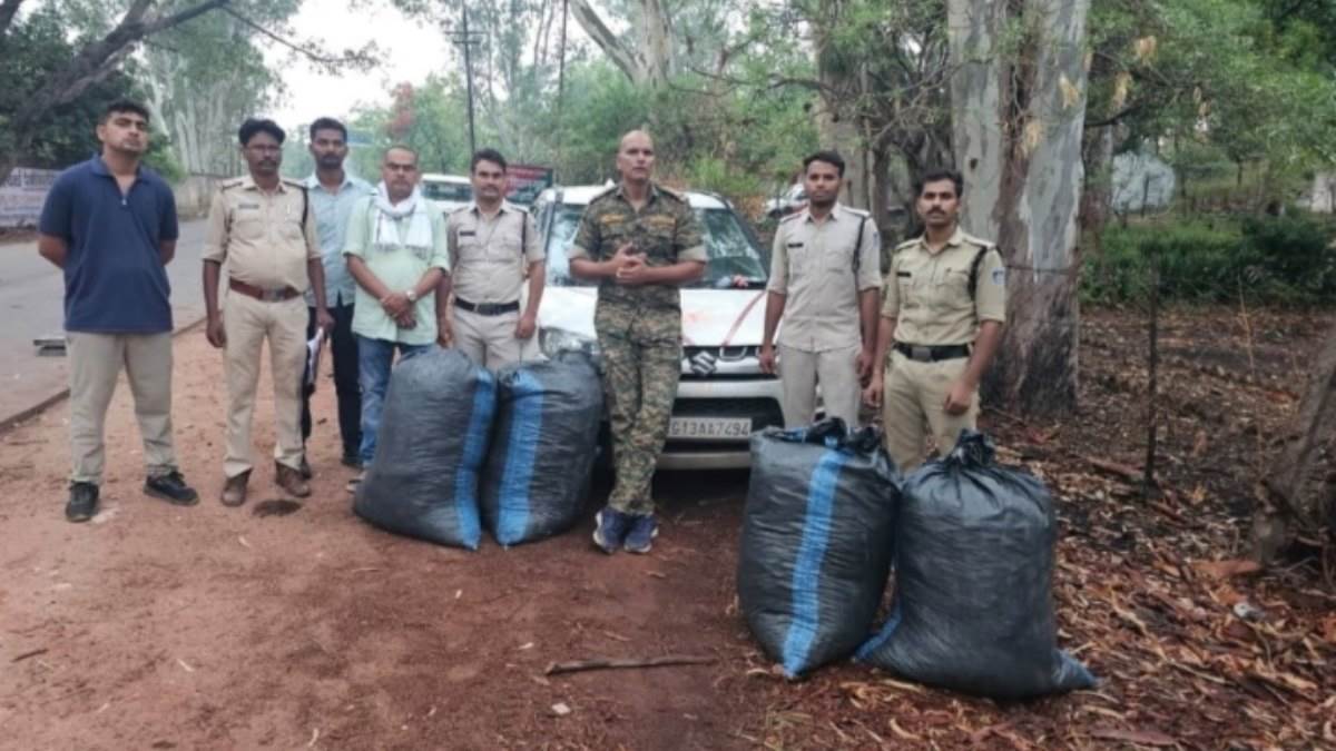 शहडोल में ब्रेजा कार से 1.27 क्विंटल गांजा जब्त, 12.70 लाख की खेप छोड़ तस्कर जंगल में फरार