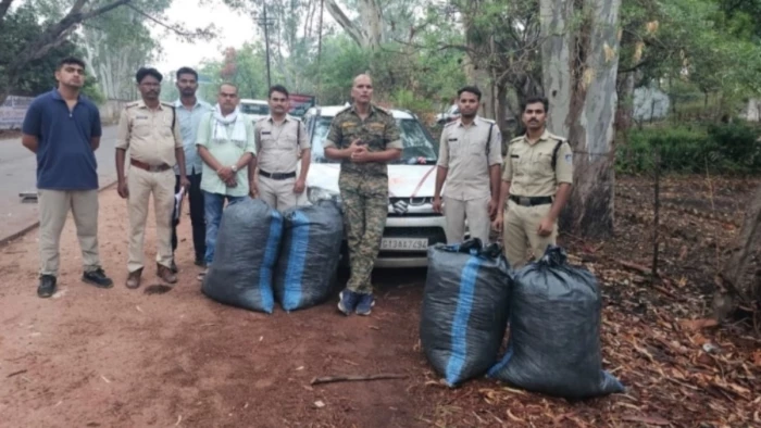 शहडोल में ब्रेजा कार से 1.27 क्विंटल गांजा जब्त, 12.70 लाख की खेप छोड़ तस्कर जंगल में फरार
