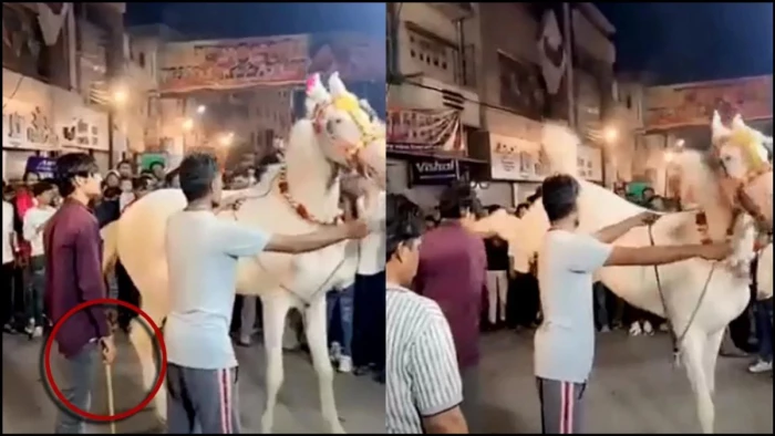 घोड़ी का नाचने से किया इनकार, तो मालिक ने बेजुबान पर बरसाए डंडे, वीडियो वायरल के बाद केस दर्ज