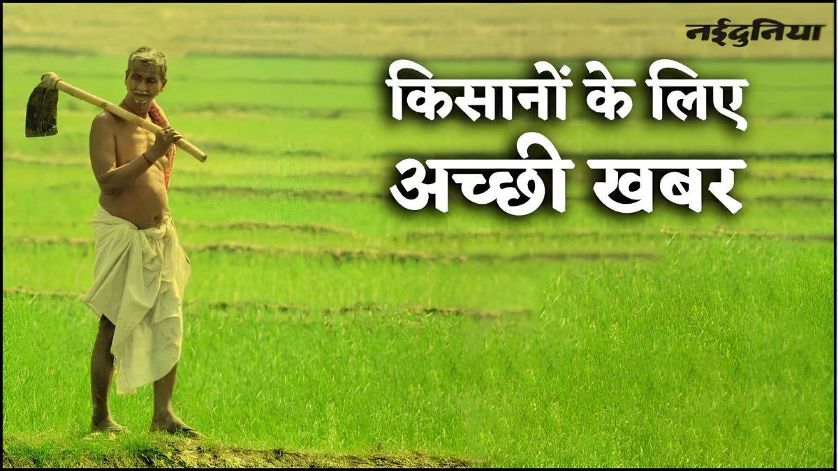 छत्तीसगढ़ के 40 लाख किसानों को बड़ी राहत, खाद वितरण में टोकन व्यवस्था खत्म, अब एक बार में मिलेगी पूरी खाद