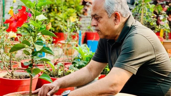 मानसून के पहले कर लें तैयारी, सही पौधा चुनने से देखभाल तक की योजना, पढ़ें क्या है हरियाली का मंत्र