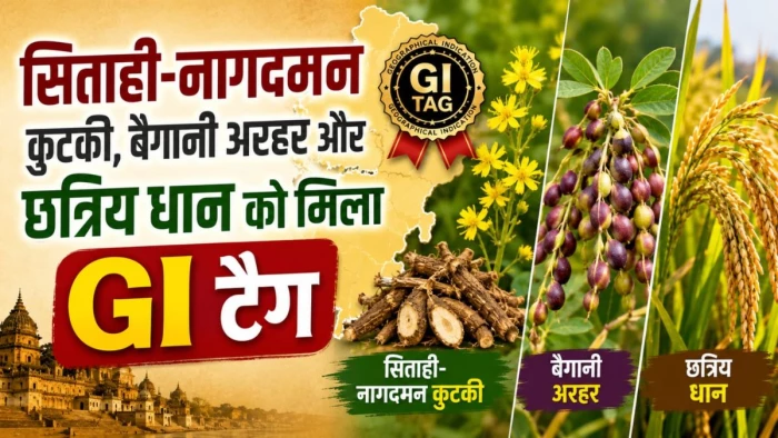 एमपी के किसानों के लिए खुशखबरी, सिताही-नागदमन कुटकी, बैगानी अरहर और छत्रिय धान को मिला GI टैग; बढ़ेगी ब्रांड वैल्यू