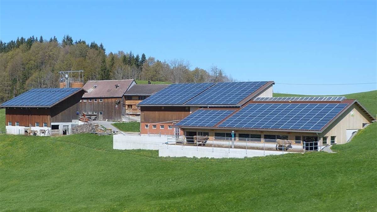 Solar Rooftop Scheme: घर पर लगाएं ये सोलर पैनल, सरकार दे रही 40 फीसदी सब्सिडी