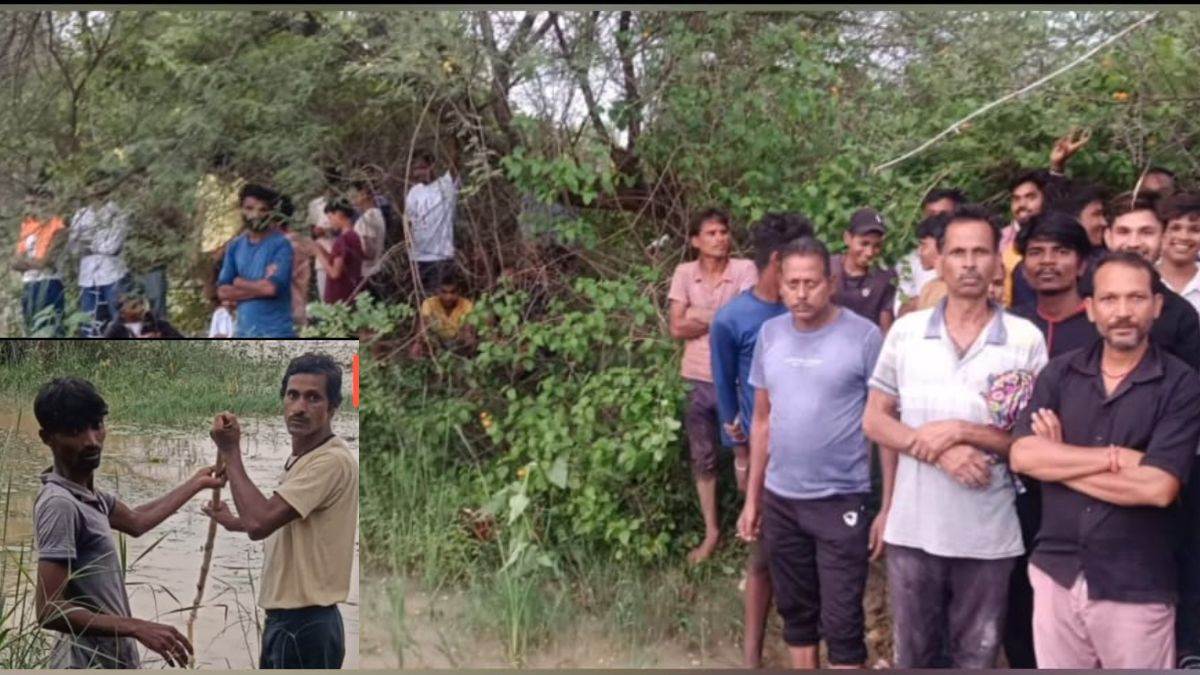 अनूपपुर में मछली पकड़ने गए शिक्षक को अजगर जकड़कर पानी में खींच ले गया