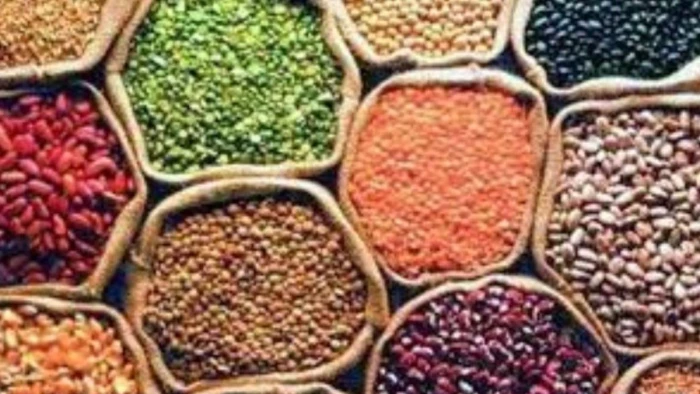 MP Moong Procurement: मूंग खरीदी का कोटा बढ़ाने पर केंद्र ने रोकी रफ्तार, पहले मौजूदा लक्ष्य पूरा करने की दी सलाह