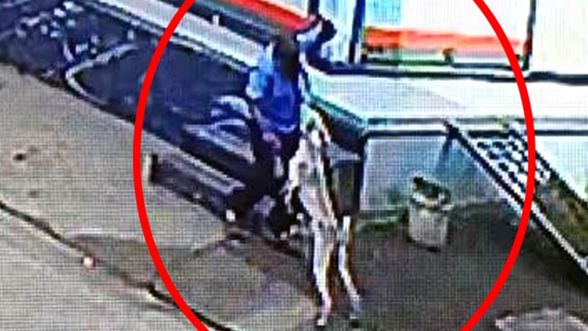 MP News: बड़वानी में कुत्‍तों का आतंक, बच्चों के साथ बड़ों को बना रहे निशाना, बुजुर्ग के मुंह पर मारा झपट्टा, नाक काटी
