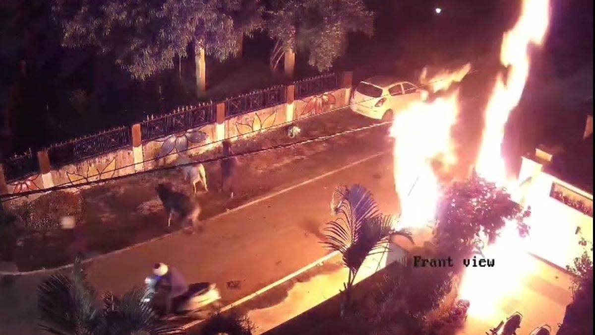 कटनी में आर्म्स डीलर के घर में नकाशपोश बदमाशों ने लगाई आग, घटना CCTV कैमरे में कैद