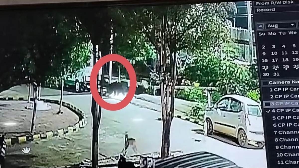 बालोद के जिला अस्पताल परिसर में आधी रात भालू की दस्तक, वन विभाग से कार्रवाई की मांग