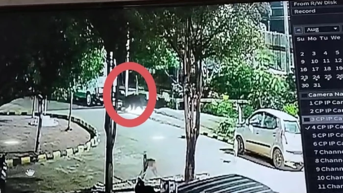 बालोद के जिला अस्पताल परिसर में आधी रात भालू की दस्तक, वन विभाग से कार्रवाई की मांग