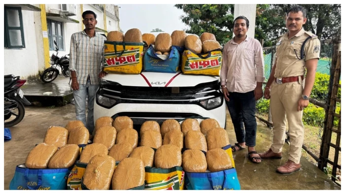 जशपुर के रास्ते नशा तस्करी का पर्दाफाश! 3 गाड़ियां और 520 किलो गांजा जब्त, बिहार-एमपी के तस्कर ढेर