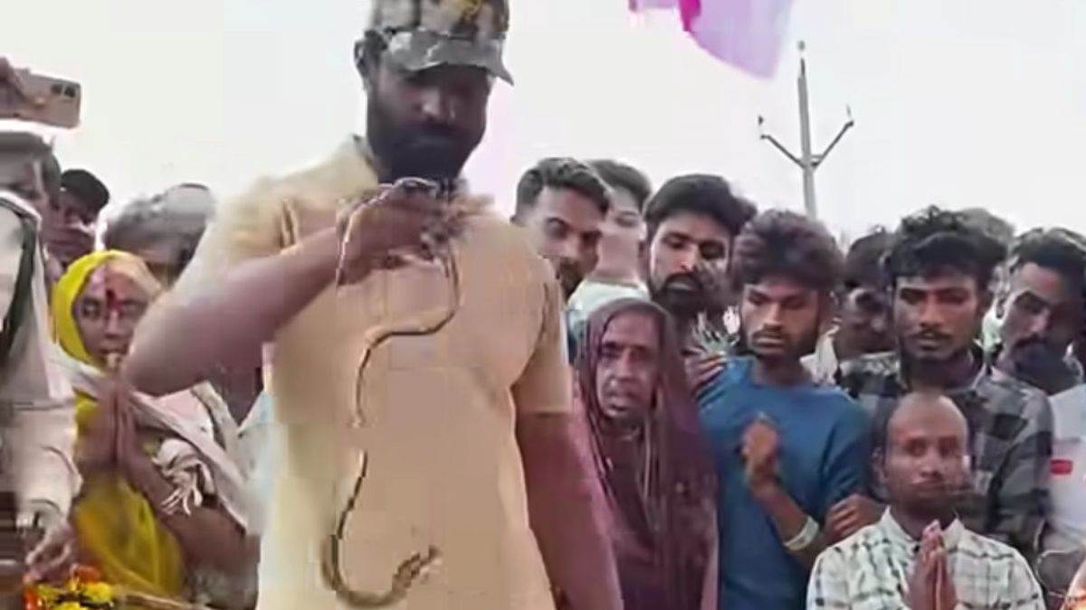 धार में 19 दिन से एक ही स्थान पर डटी नागिन, ग्रामीण कर रहे थे पूजा-अर्चना, वन विभाग की टीम ने किया रेस्क्यू