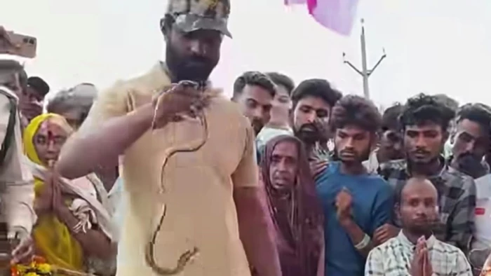 धार में 19 दिन से एक ही स्थान पर डटी नागिन, ग्रामीण कर रहे थे पूजा-अर्चना, वन विभाग की टीम ने किया रेस्क्यू