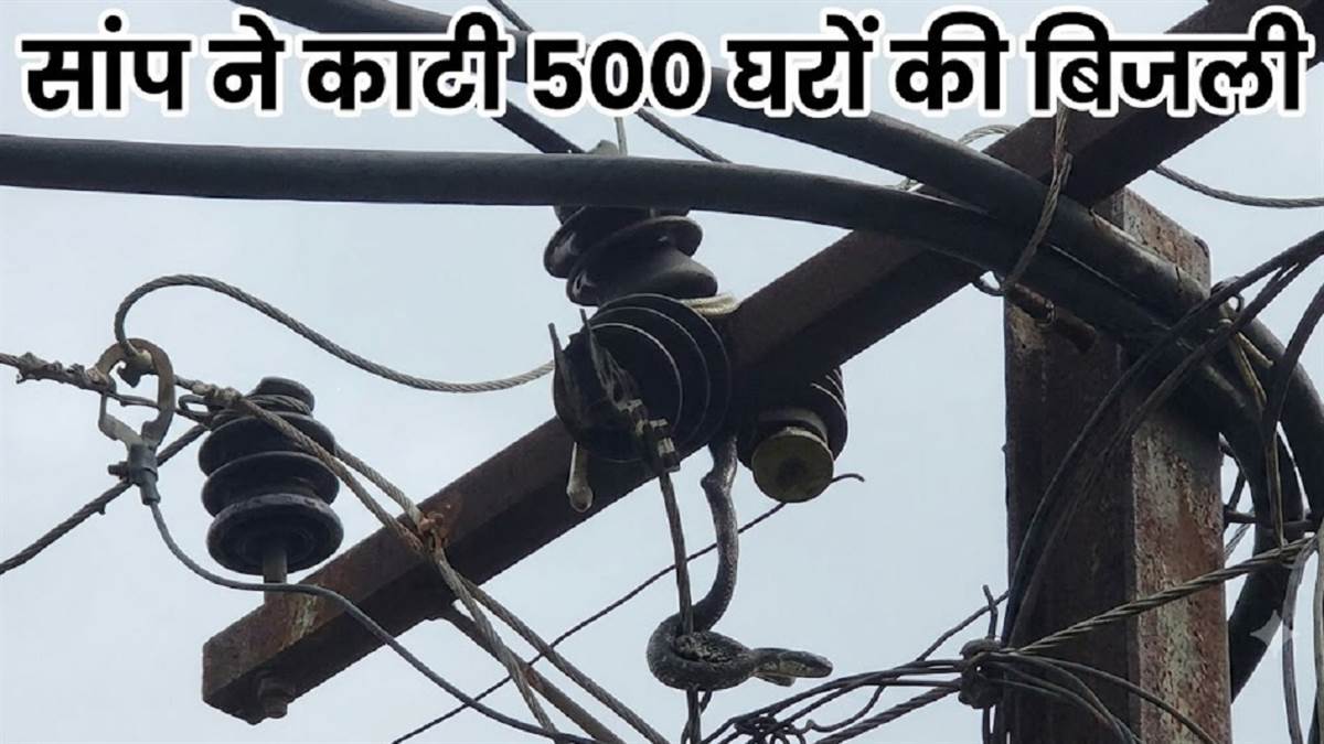 भिलाई में चंद्रा मौर्या टॉकीज के पास सांप ने काटी पांच सौ घरों की बिजली, कारण जानकर आप भी हो जाएंगे हैरान !