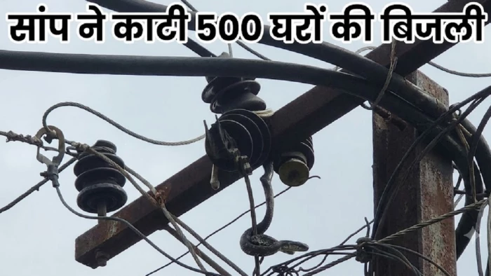 भिलाई में चंद्रा मौर्या टॉकीज के पास सांप ने काटी पांच सौ घरों की बिजली, कारण जानकर आप भी हो जाएंगे हैरान !
