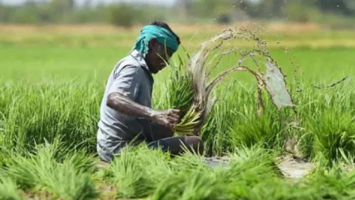 भोपाल में चार राज्यों के किसानों के फसल बीमा के 3.62 करोड़ रुपये हड़पे, आउटसोर्स कर्मचारी पर केस दर्ज