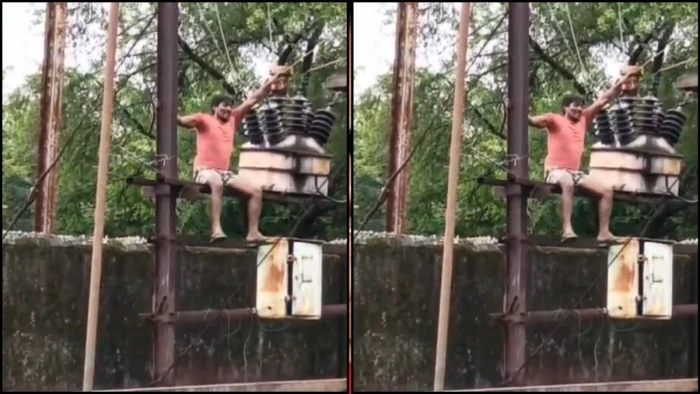 शहडोल में बिजली गुल होने पर ट्रांसफॉर्मर पर चढ़ा युवक! कर्मचारियों से की गाली-गलौज, सुरक्षा व्यवस्था पर उठे सवाल