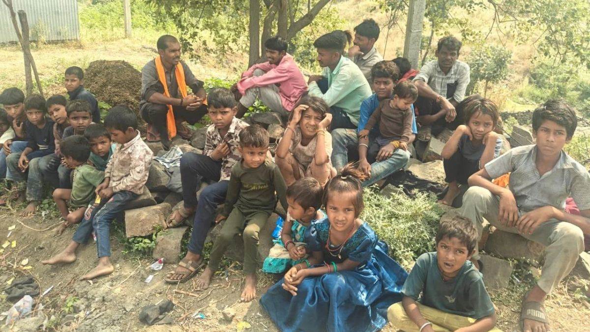 झाबुआ के उकाला फलिया में 700 की आबादी पर स्कूल नहीं, मवेशी चराने को मजबूर बचपन