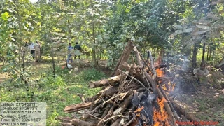 तेंदुए को करंट लगाकर उतारा मौत के घाट, टंगिया से काटे थे चारों पंजे