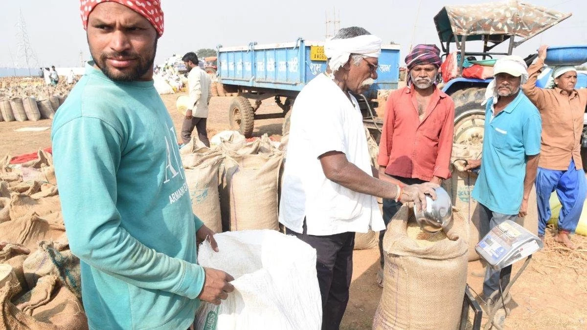 14 हजार से ज्यादा किसानों को 104 करोड़ रुपये का भुगतान, छत्तीसगढ़ में रफ्तार पकड़ने लगी धान खरीदी