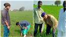 Wheat Crops in Indore: खेतों में पहुंची कृषि विभाग की टीमें, इल्ली से प्रभावित गेहूं की फसल देखी