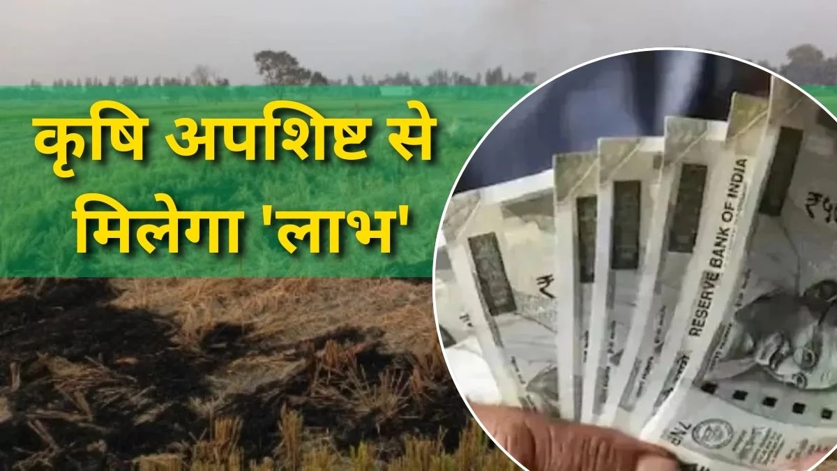 अब पैसे में बदलेगा खेतों में बचा हुआ कृषि अपशिष्ट, पराली और मक्के के वेस्ट तैयार होगी Bio CNG Gas