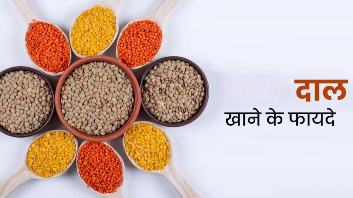 किस बीमारी में कौन सी दाल खानी चाहिए? जानें फायदे और सेवन का सही तरीका