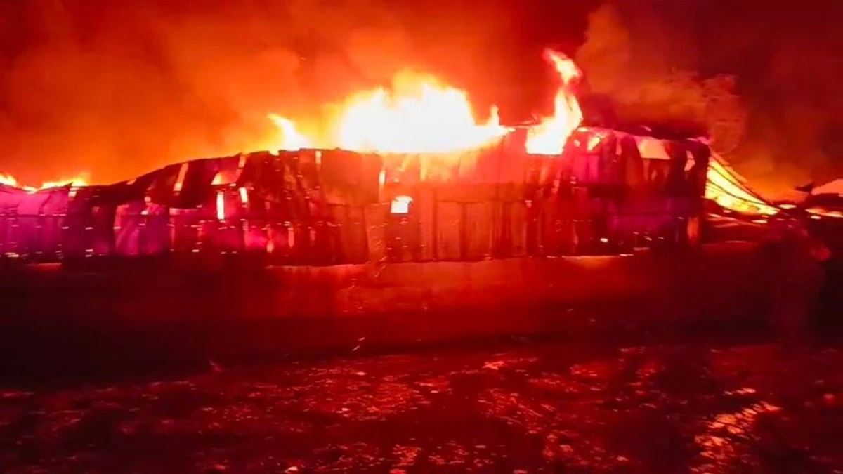 Fire in Bhopal: ऐशबाग इलाके में भोपाल डेकोरेटर्स के शोरूम और गोदाम में लगी आग, चार लोग घायल