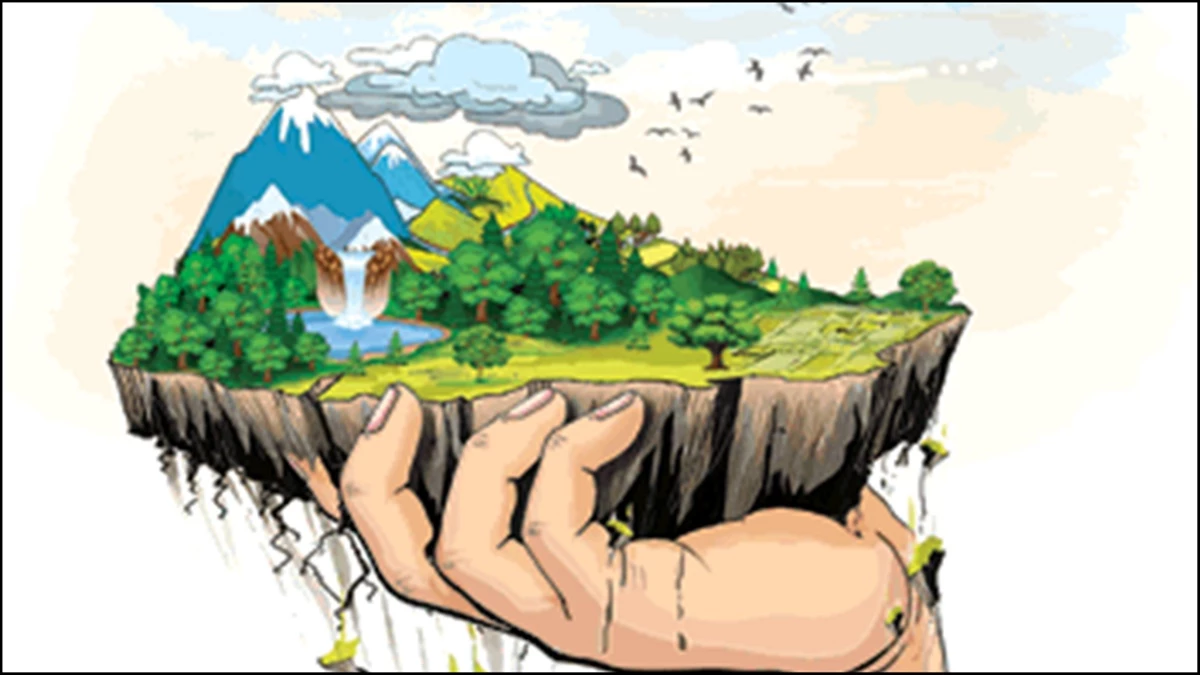 छत्तीसगढ़ में मिट्टी के 1.75 लाख नमूनों की जांच में 76% में नाइट्रोजन लगभग शून्य